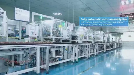 Efp382-Kit21 Manufacturer OE Supplier Universal Car/Auto/Automotive Electric/Gasoline Fuel Pump Engine Parts for Hyundai with OE No. E2068 E8335 E8229