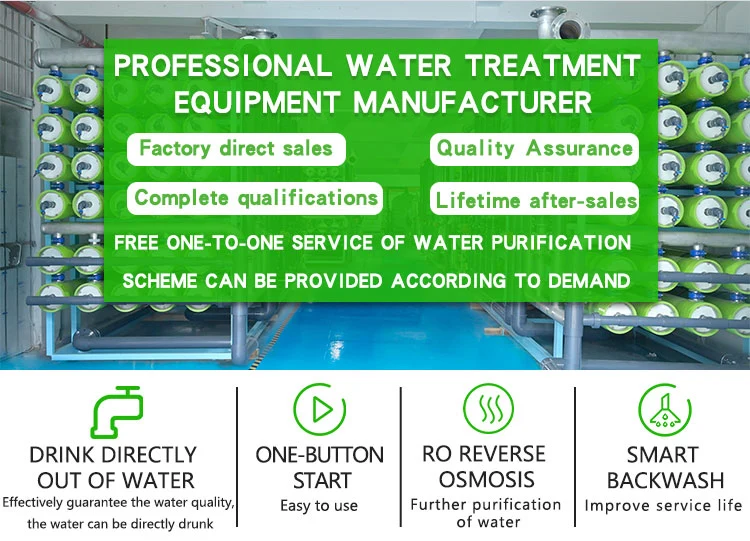 1000lph RO Water Plant RO Machines Water Filter Water Purifier Plant Water Filter RO System Home